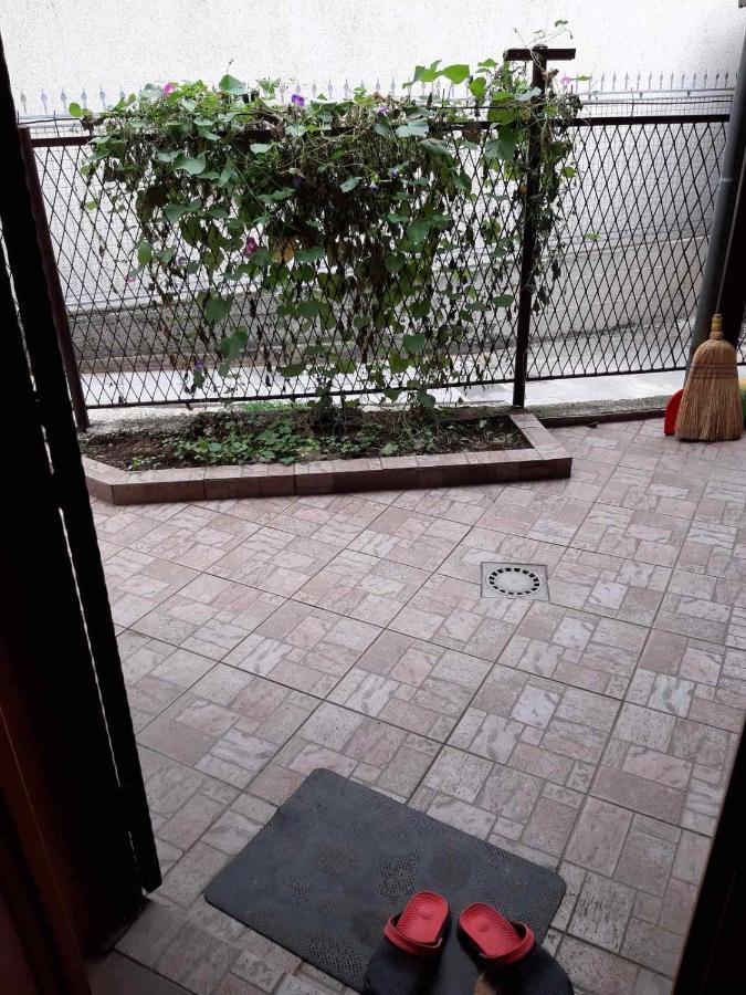 Apartman Dove